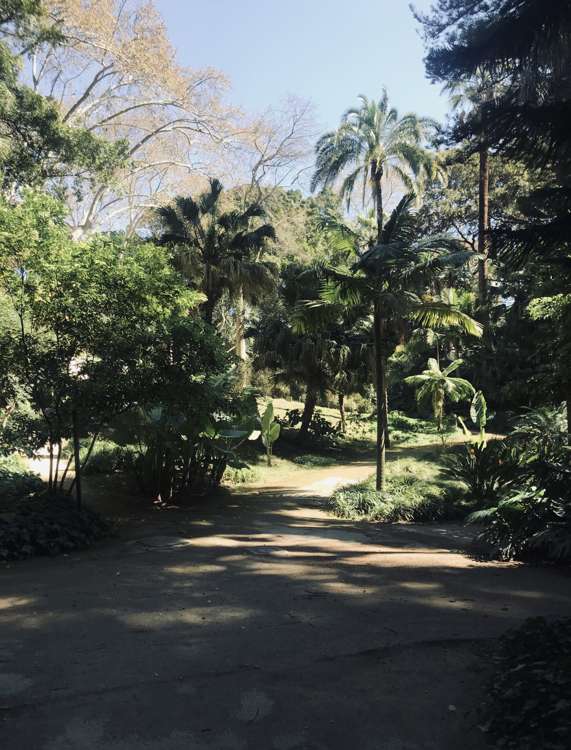 botanische tuin Málaga